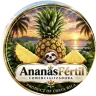 Logo Ananás Fértil
