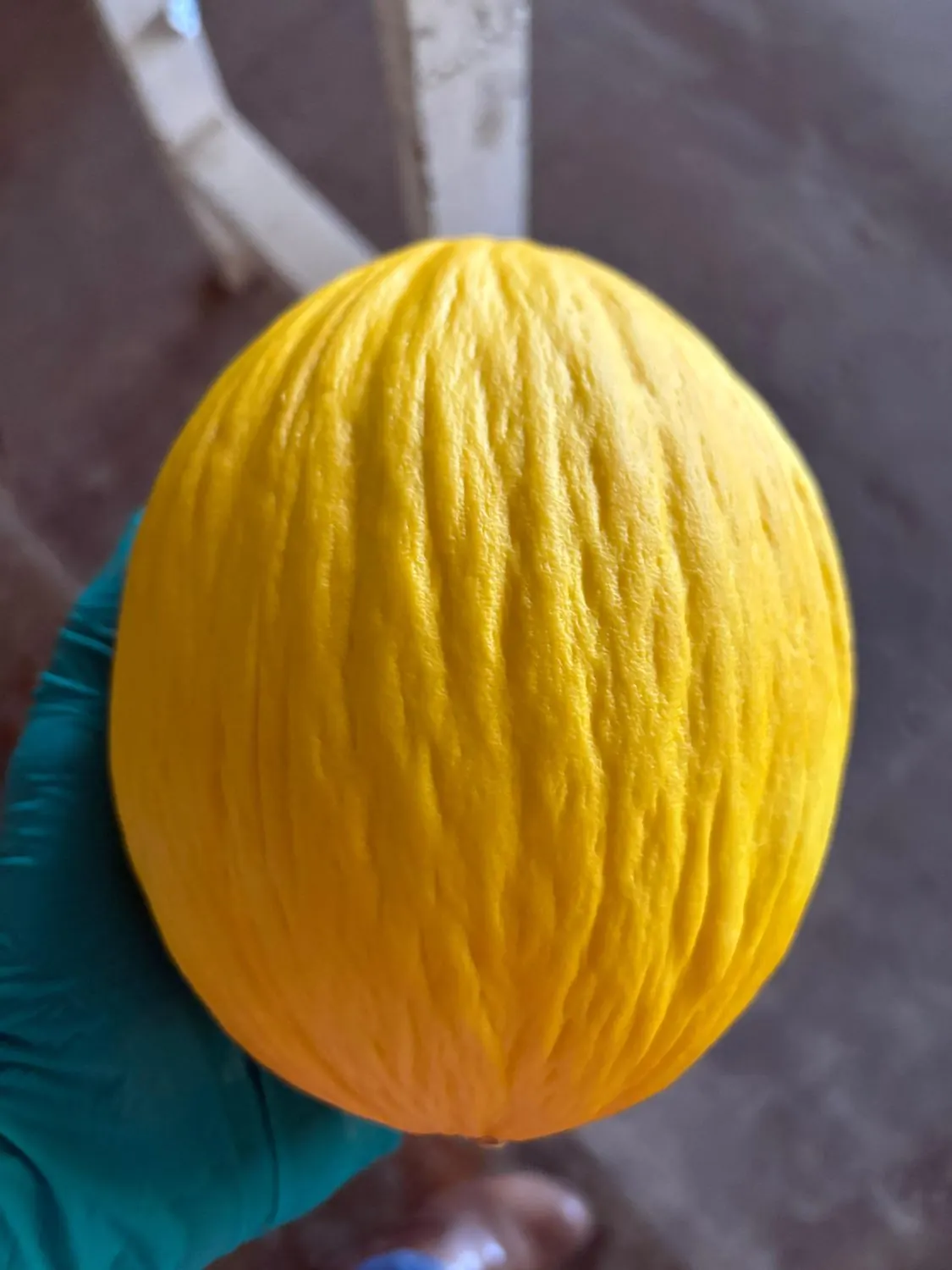 Melón amarillo de cáscara uniforme